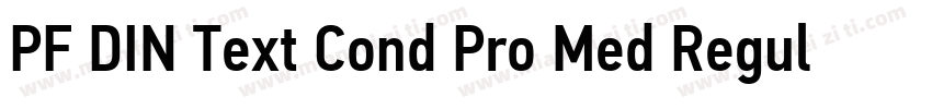 PF DIN Text Cond Pro Med Regular字体转换